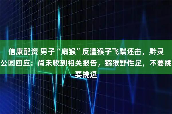 信康配资 男子“扇猴”反遭猴子飞踹还击，黔灵山公园回应：尚未收到相关报告，猕猴野性足，不要挑逗