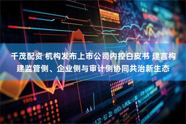 千茂配资 机构发布上市公司内控白皮书 建言构建监管侧、企业侧与审计侧协同共治新生态