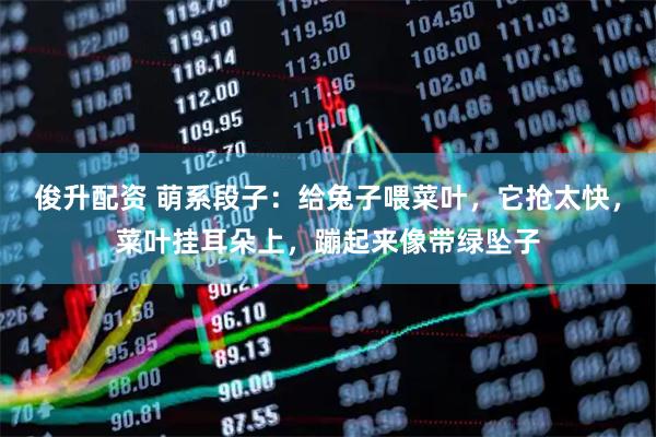 俊升配资 萌系段子：给兔子喂菜叶，它抢太快，菜叶挂耳朵上，蹦起来像带绿坠子